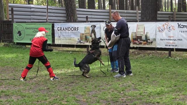 PROTECTION 🔥 BONNO DE EGURETXE 🇪🇸 Helper A.Cоколов 🇷🇺 смотреть онлайн