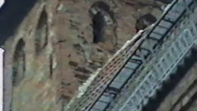 Рыбниц-Дамгартен. Зима 1991 - 1992 г. смотреть онлайн