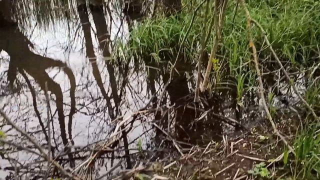 Кемпинг смотреть онлайн