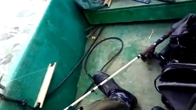 Наши друзья с Белоруссии так же не остались без сазана! www.astkapitan.ru смотреть онлайн