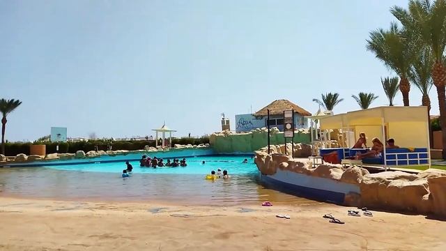 Бассейн с волной Отель Aqua Blu Sharm El Sheikh... 16.09.2021 смотреть онлайн