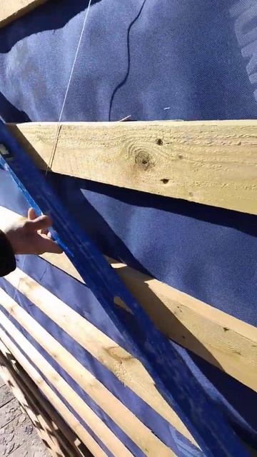 5 апреля 2025 г. смотреть онлайн