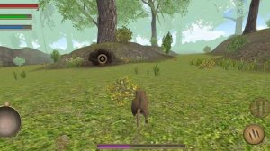 Игра, симулятор мыши)