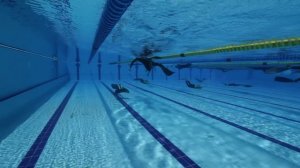 Natalia Molchanova world record dynamic freedive