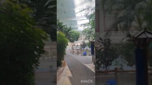 Отель Тианму (ботанический сад) г. Бай Цзысюань