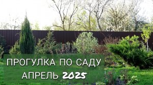 МАЛЕНЬКАЯ ПРОГУЛКА ПО САДУ. 23.04.2025г.