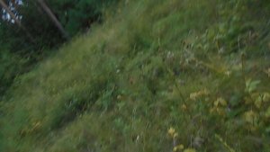 № 42) Я Антон Дольников в посёлке Мальта - дом отдыха (Мальтинский), ОБИДНО КАК, ЧТО ЕВО УЖЕ НЕТ, пр