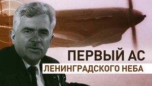 38 сбитых фашистских самолётов: история дважды Героя СССР лётчика-аса Петра Покрышева