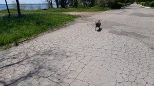 Прогулка по пгт Сергеевка 2021 (май) Одесская обл.