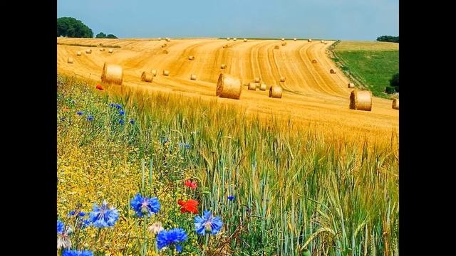 самые красивые места смотреть онлайн