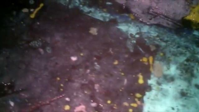 Komcity Новости — Потоп на Дружбе, 22 июля 2016 смотреть онлайн