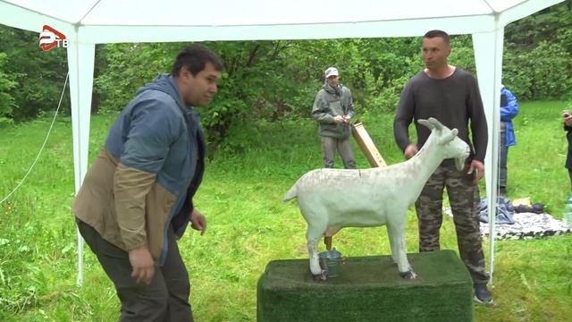 Семейный турслет «Никоновское-2023» состоялся в 9-й раз в округе смотреть онлайн