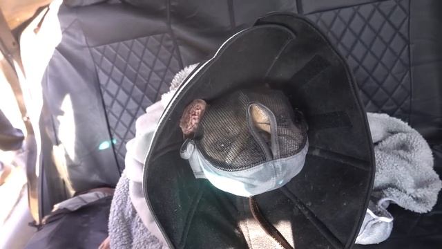 VLOG Почему сразу ХЕЙТ смотреть онлайн