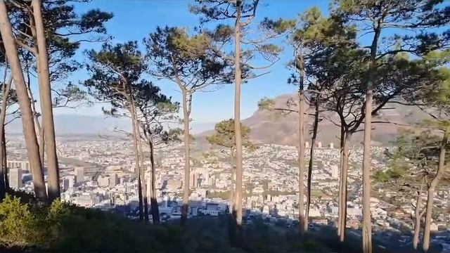 Capetown | Молочники в ЮАР