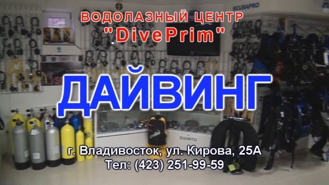 DivePrim.Ru :: Водолазный центр DivePrim смотреть онлайн
