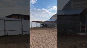 Даша на Аквилоне, проезд схемы "манежная езда 1.3" на плацу.