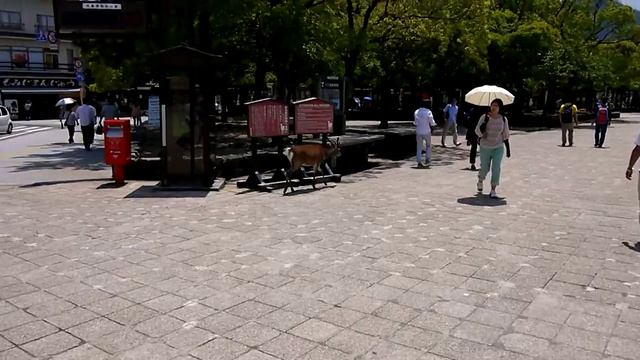 Миядзима вышли с парома смотреть онлайн