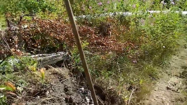 оз. Черненькое, ст. "Мир", 29.07.2012 смотреть онлайн