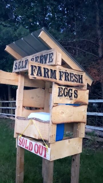 Self serve egg stand #egg #chicken #diy #homestead #homesteading