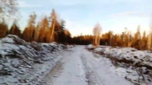 Охота с комбинированным CZ BRNO COMBO 12/ 308