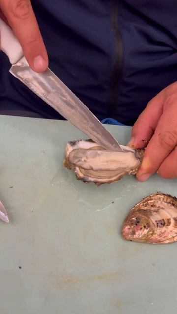 Володя вскрывает устрицу через попку смотреть онлайн