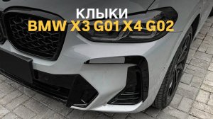 Клыки верхние BMW X3 G01 X4 G02