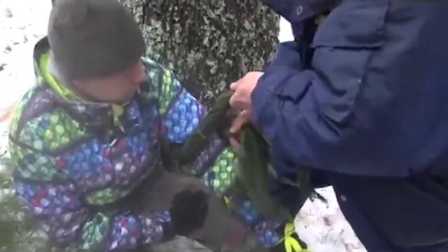 Выживание в лесу смотреть онлайн