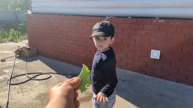 VLOG: Никогда НЕ ЖИЛА одна🤷🏻♀️/ Шашлыки у РОДИТЕЛЕЙ🫶/ Мама Вика❤️ смотреть онлайн