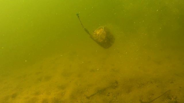 Кормушка "FEEDER SPORT"Подводное видео.Плотва,кормушка ,опарыш. смотреть онлайн