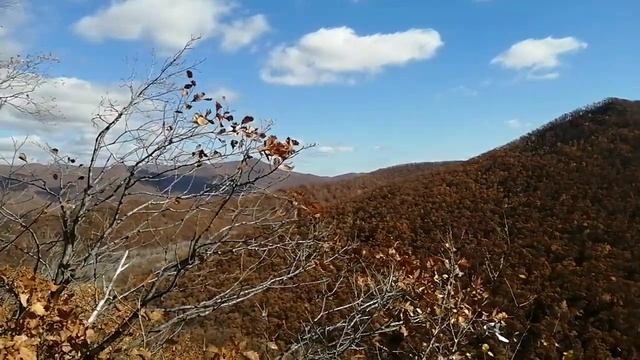 15.10.21.Разведка места,едим "шишковать".Анученский р-он, красота!+79241232444 Стороженко Владимир смотреть онлайн