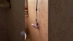 Номер однокомнатный с кухней и столовой «Африка» в гостевом доме ДиНа