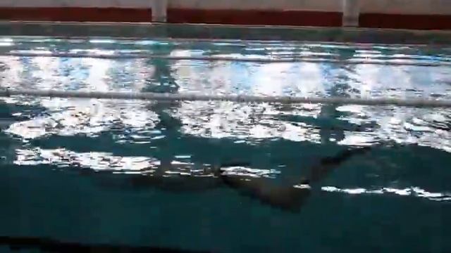 20130707 Энергодар бассейн Журавский Виктор ныряние в ластах на боку