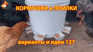 Кормушка курам из ведра 20 л бункерная понравилась несушкам
