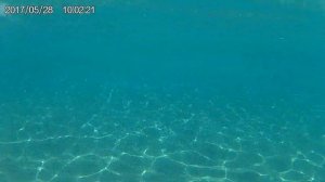 Отель Sherwood Greenwood Resort 4