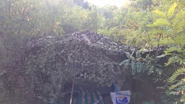 Утро, палатка. смотреть онлайн