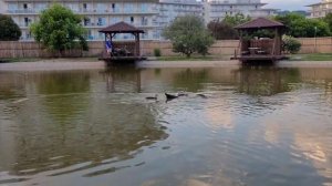 Сочи Парк Отель 27 июня 2024 г.