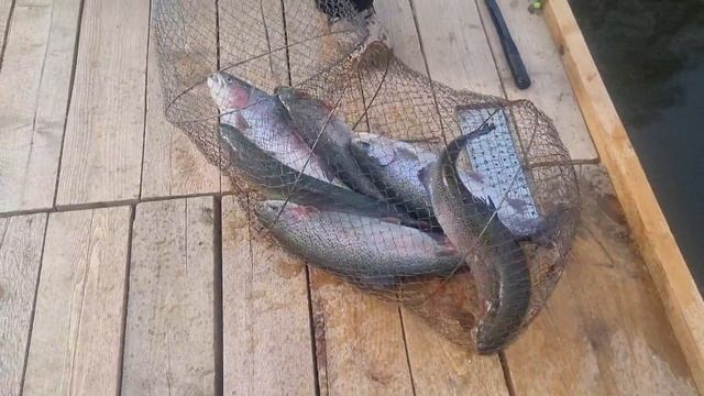 23-04-2025 смотреть онлайн