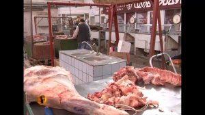 «Высота 102 ТВ»: Житель Москвы пустился в Волгограде во все тяжкие