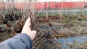 23-04-2025 участок в воде, и о межевании участка в кратце