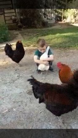 Дружба!