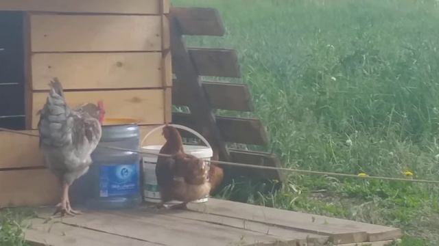 19 июня 2021 г. смотреть онлайн