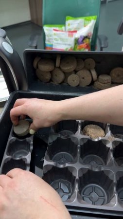 Зачем соседка поливала кипятком клубнику?