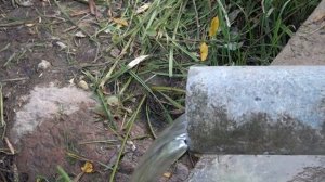 Слонимчане облагородили родник на "Энке"