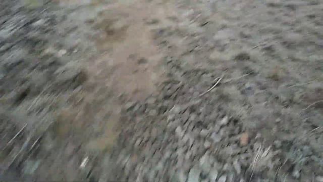 Киев встречает туристов автовокзал выдубичи 8 01 2020 затопило смотреть онлайн