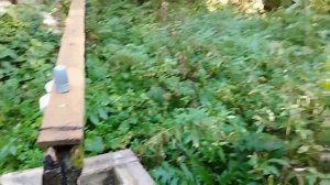 Покажу родник и купель вблизи Семиозёрского Богородицкого монастыря под Казанью.