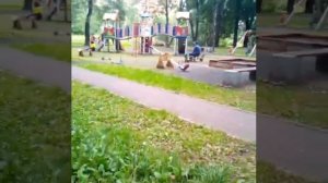 Достопримечательности Нахабино часть 4