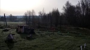 звуки природы 20.04.25