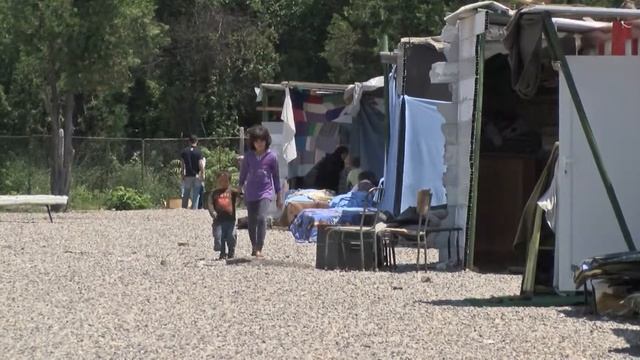 22 бежанци от лагера в Харманли ще помагат на бедстващите във Варна и Добрич смотреть онлайн