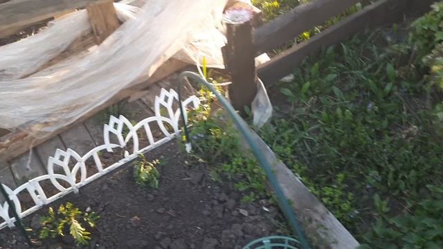 ПОЗДРАВЛЯЕМ КСЕНИЮ//ПРИЕХАЛИ НА ДАЧУ//ПОТЕРЯ АБРИКОСА//ДЕЛАЕМ НА ВЕРАНДЕ ДВЕРЬ.