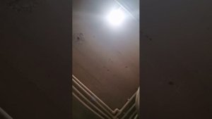 ге